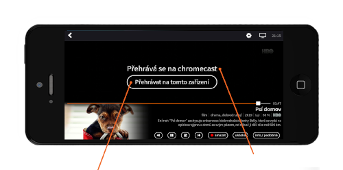 Lepší.TV - televize online - Apps on Google Play